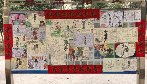 高一《红楼梦》主题读书活动